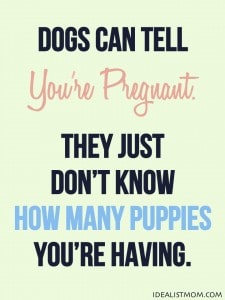 Dogs Can Tell You're Pregnant
