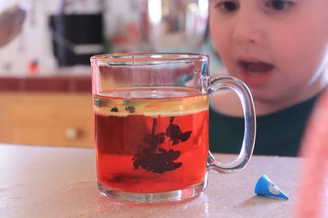 The best science gifts for kids should encourage kids to jump right in