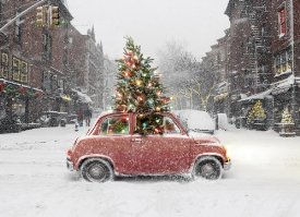 Avanti Christmas Cards