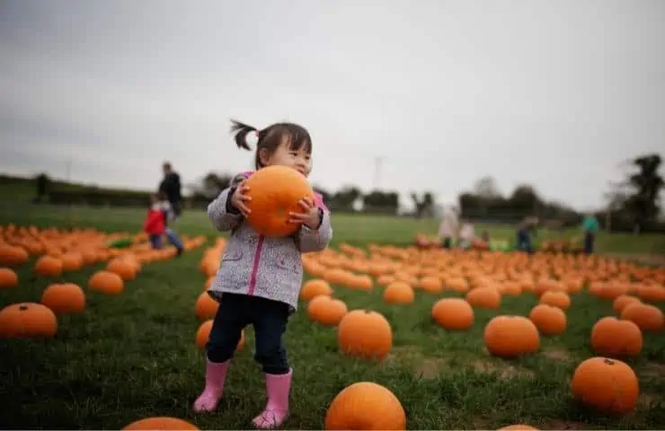 The Best 35 Family Traditions, According to Science